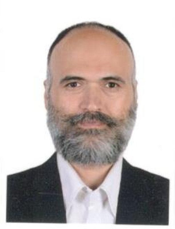 سیدمحسن میری